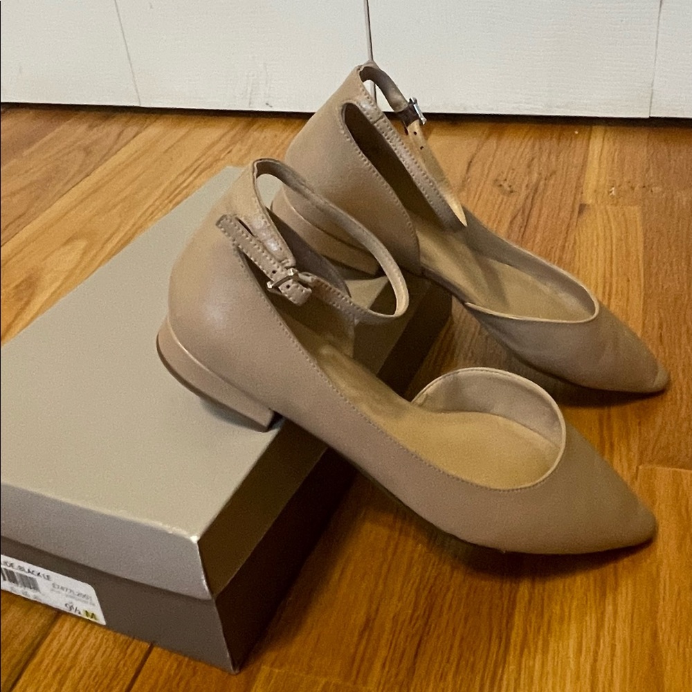 Pointed Toe Flats